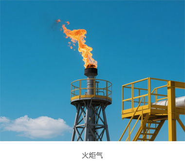 火炬气1.png